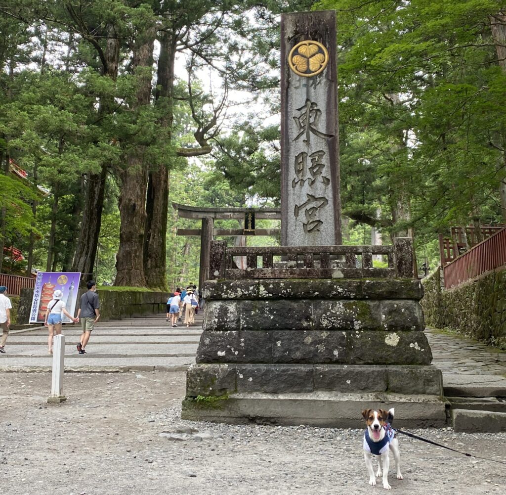 日光東照宮の石碑と愛犬