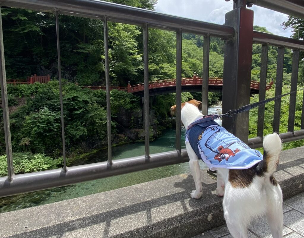 日光の神橋と周辺散策