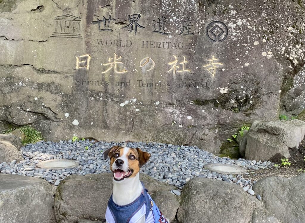 日光社寺入り口前を犬連れで歩いた様子